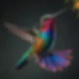 A vibrant hummingbird in mid-flight, showcasing its iridescent feathers.