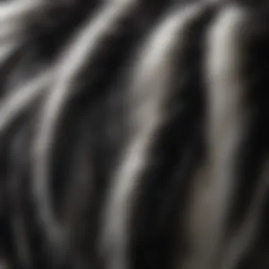 Close-Up of Skunk Fur Pattern A striking close-up of a skunk showcasing its distinctive black and white fur pattern.