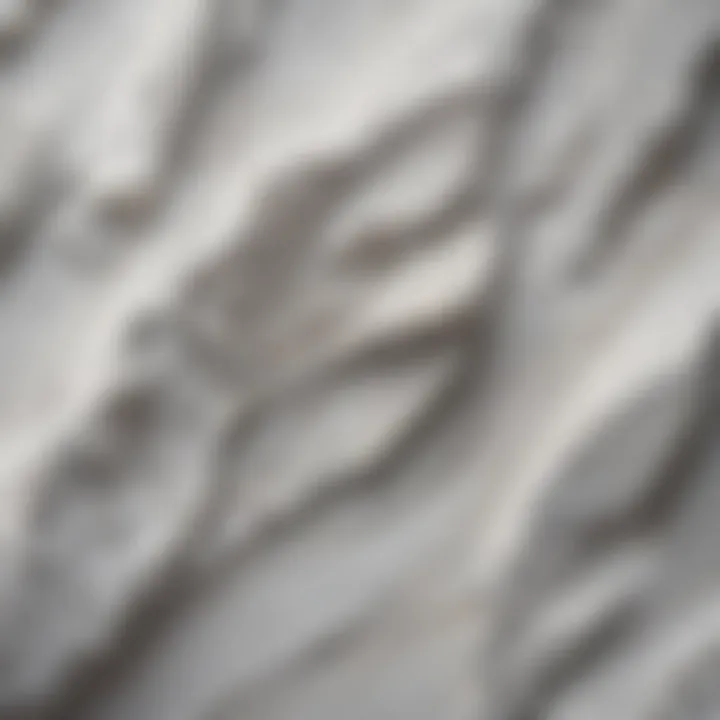 High-resolution image of quartzite displaying crystalline white patterns