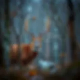 A Comprehensive Guide to West Virginia Hunting Season Introduction