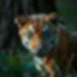 A Comprehensive Review of Dogrook: Insights and Observations Introduction