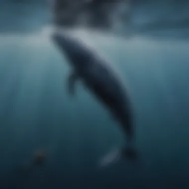 A captivating photograph of a blue whale alongside a diver, emphasizing the scale and grandeur of these ocean giants.