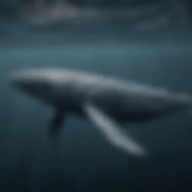Majestic Elegance: Blue Whale in Motion A breathtaking underwater shot showcasing the grace of a blue whale gliding through the ocean depths.