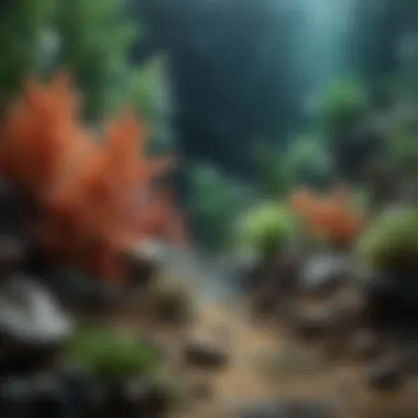 Close-up of textured aquarium background materials