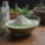 Baking soda in a clear glass bowl surrounded by various pests.