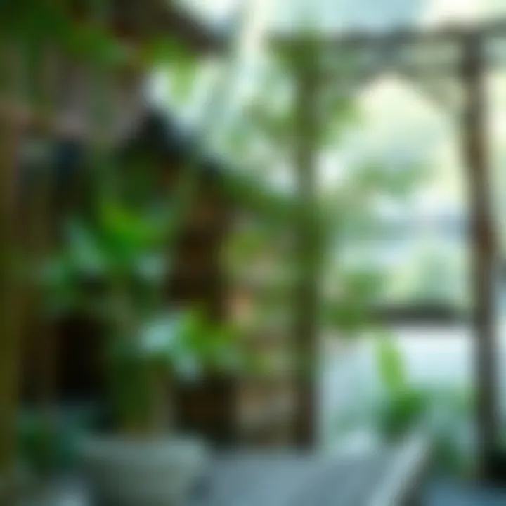 A historical depiction of bamboo bonsai illustrating its cultural significance