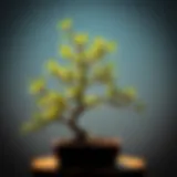 A beautifully crafted bamboo bonsai showcasing intricate branches and lush greenery