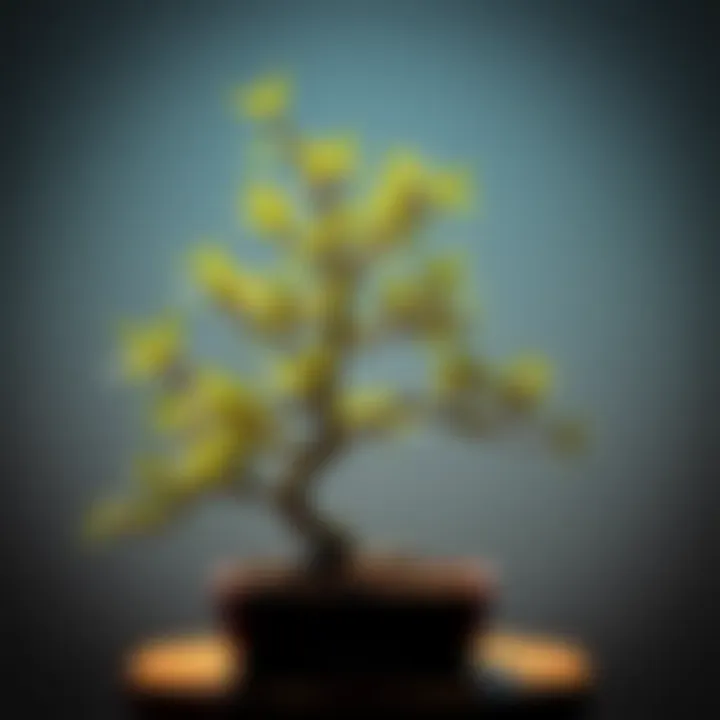 A beautifully crafted bamboo bonsai showcasing intricate branches and lush greenery