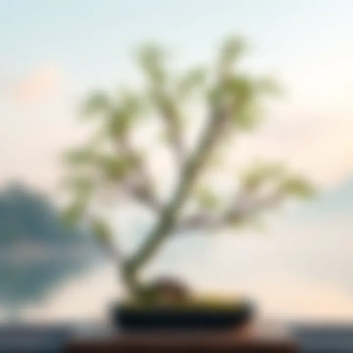 A serene bamboo bonsai arrangement set against a tranquil background