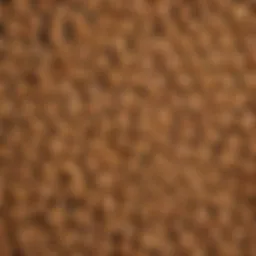 Close-up view of Beefeaters cat treats showcasing the texture and variety