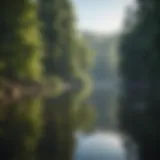 Panoramic view of a serene lake surrounded by lush forests