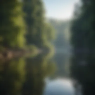 Panoramic view of a serene lake surrounded by lush forests