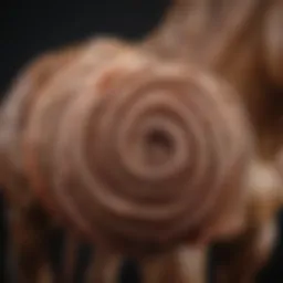 Illustration of a horse's digestive system highlighting the presence of roundworms
