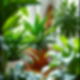 Lush green indoor plants thriving in a well-lit space