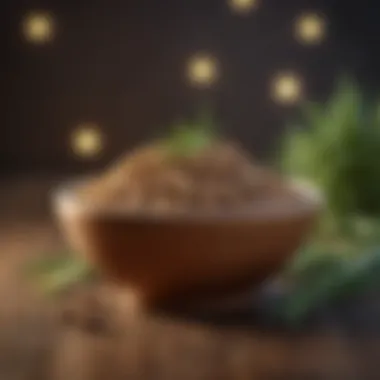 A bowl filled with dog food containing rosemary extract, highlighting its inclusion