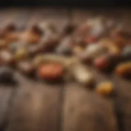 A variety of dog wormers displayed on a wooden surface