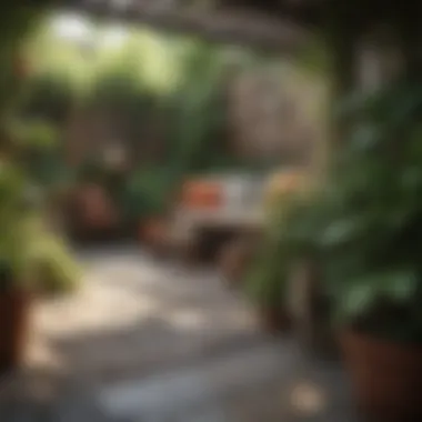 Cozy Garden Space for Pets and Plants A cozy garden space shared by plants and cats