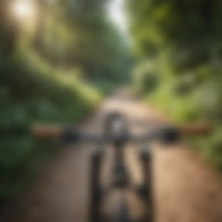 Scenic view of a bike trail winding through lush greenery in Columbia, Missouri