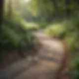 Scenic view of a winding bike trail through lush greenery