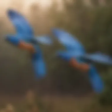 Blue birds in flight over a Maryland landscape