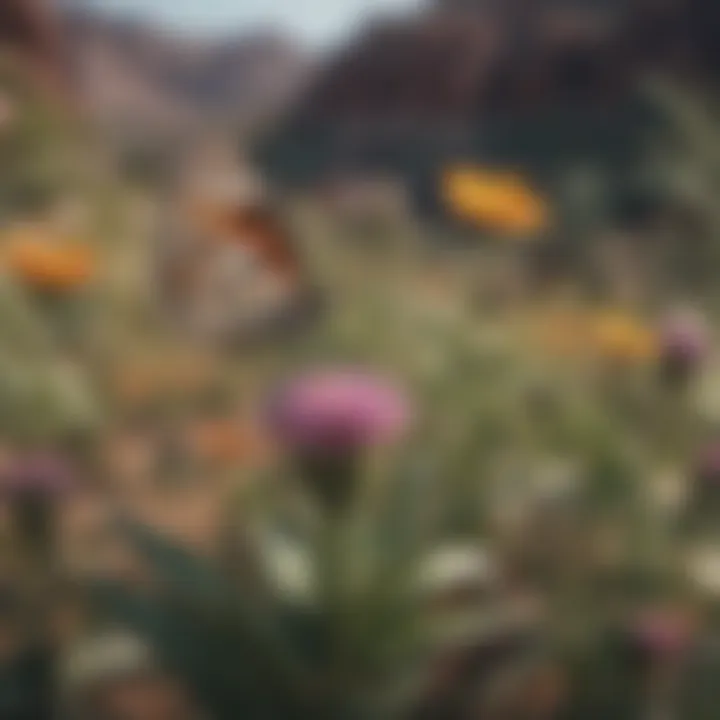 Diverse butterfly species fluttering among native plants