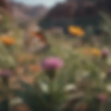 Diverse Butterflies Among Native Plants Diverse butterfly species fluttering among native plants