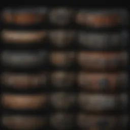 Various types of bark collars displayed together