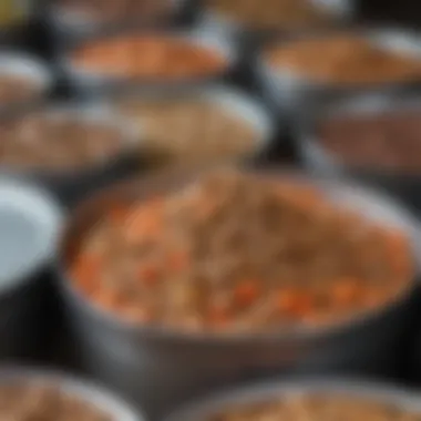 Close-up of nutritious ingredients in a canned dog food