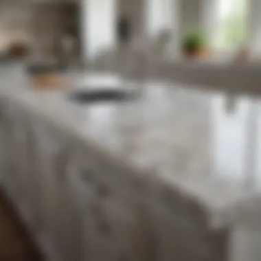 A kitchen countertop made of stunning white granite with intricate patterns, emphasizing its design appeal.
