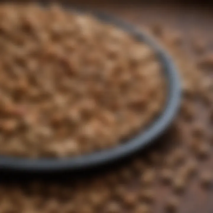 Close-up of premium freeze-dried dog food ingredients