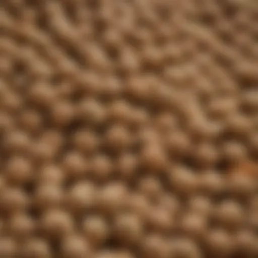 Close-up of high-quality dog kibble showcasing various shapes and sizes