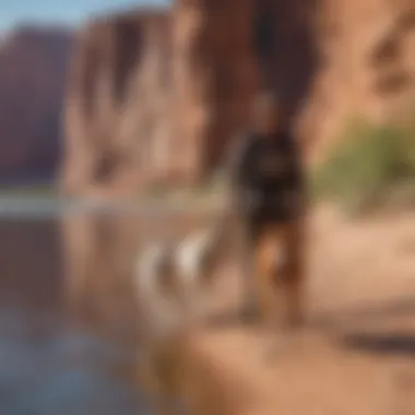 A couple hiking with their dog near the shoreline of Lake Powell.