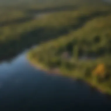 Aerial view of the lush landscape surrounding Lake Vermilion highlighting the natural beauty of the area