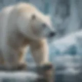 Majestic polar bear roaming the Arctic ice