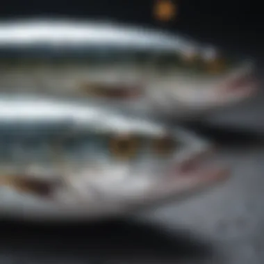 A vibrant display of mackerel fish showcasing their culinary significance.