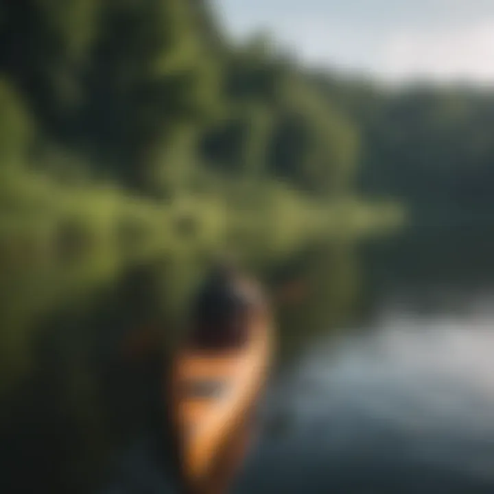 Kayakers paddling on a tranquil lake with lush greenery in the background