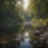 Tranquil river scene with fishing rod