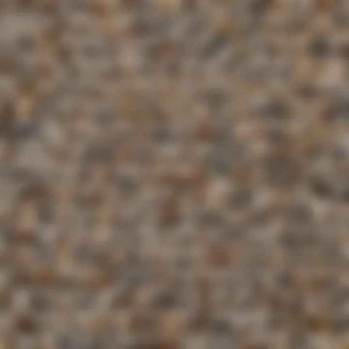 A collage of male dog names displayed on a wall, illustrating the diversity of canine nomenclature.