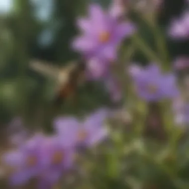 Pollinators and Their Role in Ecosystem Pollinators interacting with small five petal purple flowers in a vibrant ecosystem
