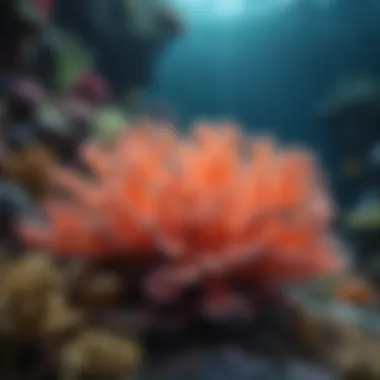 A breathtaking underwater view showcasing colorful coral reefs