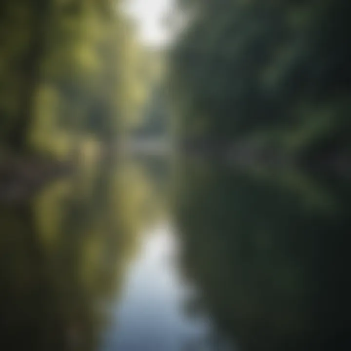 An angler casting a line in a lush Alabama river rich in bass.