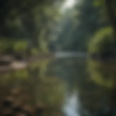 Angler casting a line into a lush freshwater stream