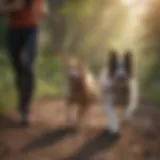 A runner using a waist dog leash with a happy dog