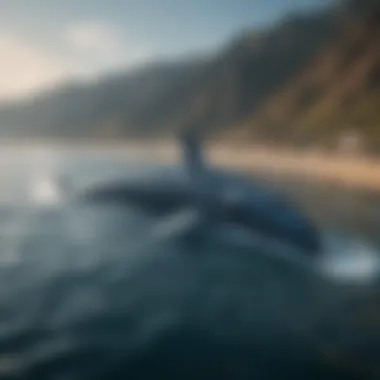 An aerial view of blue whales surfacing to breathe, surrounded by a vibrant marine landscape, emphasizing their natural habitat.
