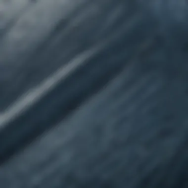 Close-up view of the unique skin texture of a blue whale, revealing intricate details of its biological makeup.