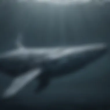 A serene underwater shot capturing the graceful movement of blue whales as they glide through the ocean currents.