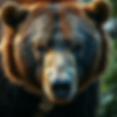 A close-up of a bear showcasing its unique features