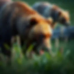 A majestic bear roaming in its natural habitat