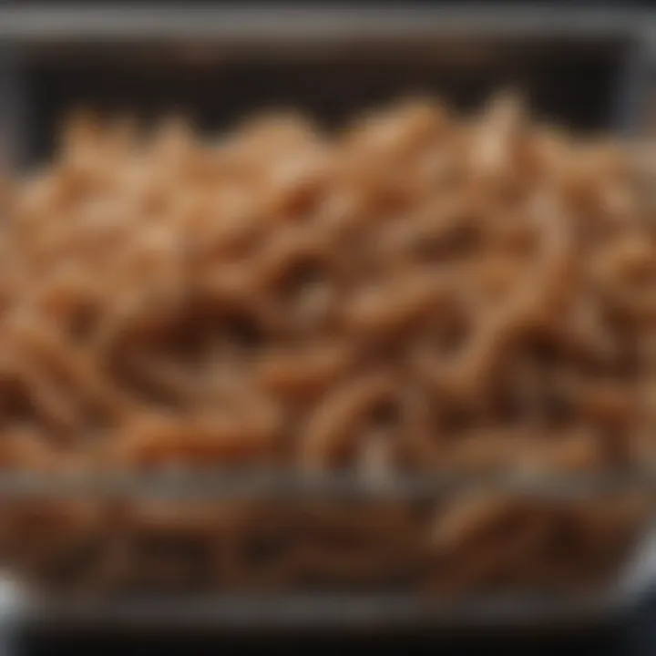 Fresh mealworms in a container