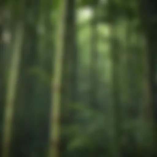 Diverse species of bamboo plants in a lush landscape